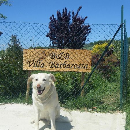 B&B Villa Barbarossa Петриньяно Экстерьер фото