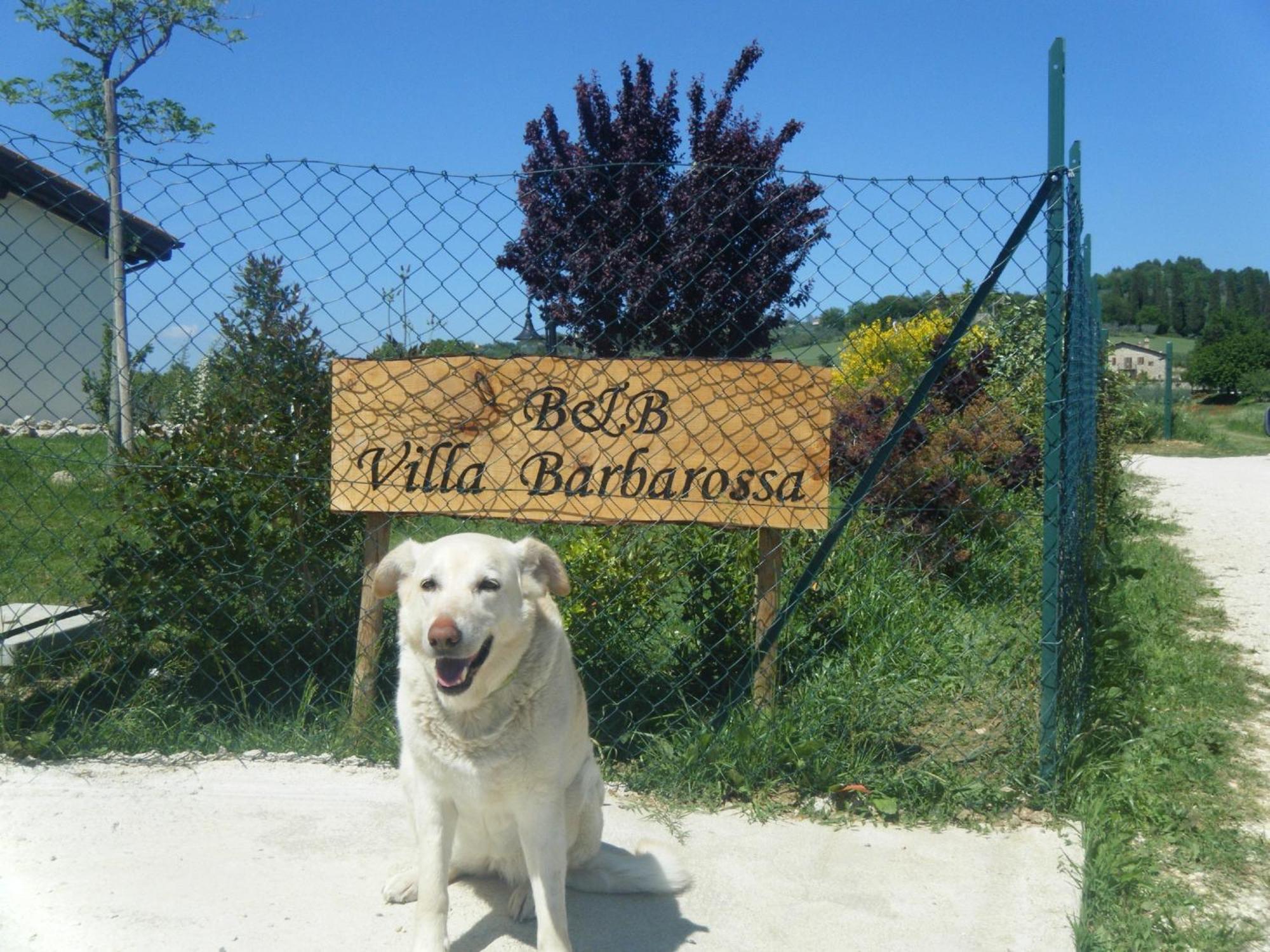 B&B Villa Barbarossa Петриньяно Экстерьер фото